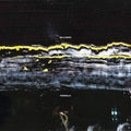 Gilla Band: Pugnello - COMPACT DISCS
